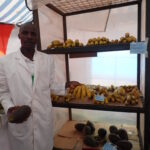 banana vincent oyaroegesa youth group