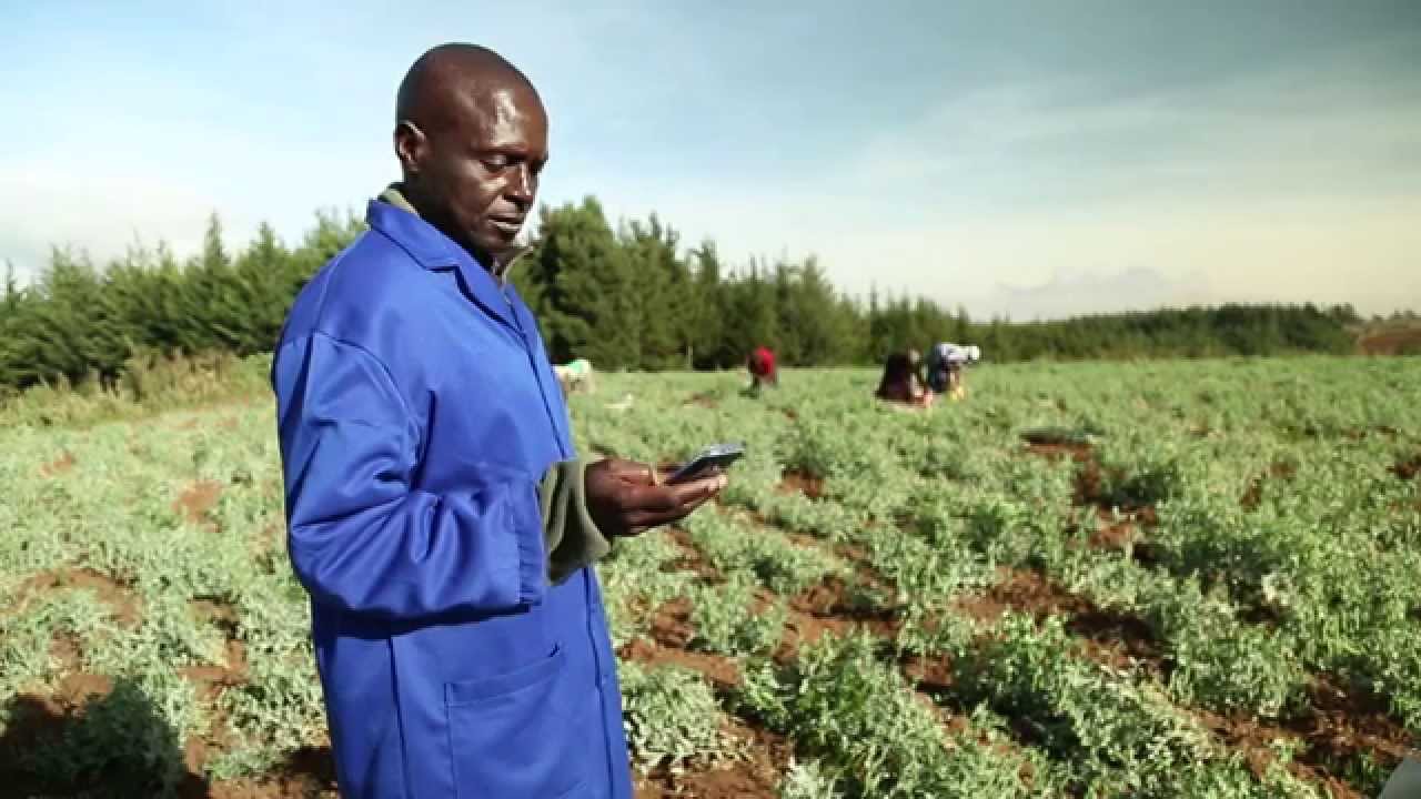 digital farming