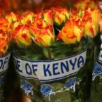 flower in kenya