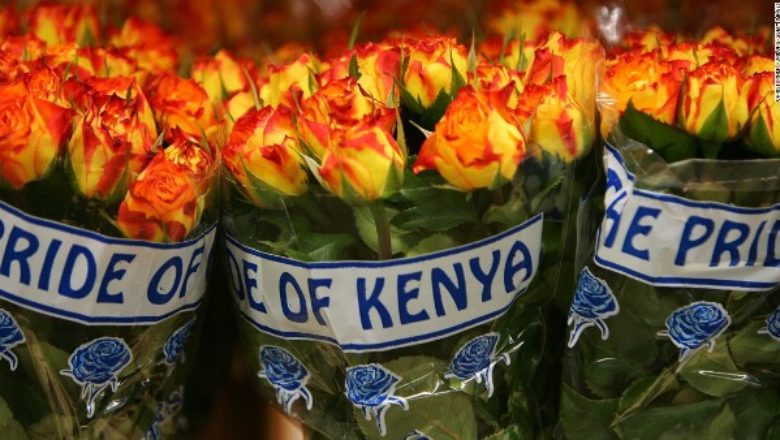 flower in kenya
