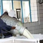 milk dairy1