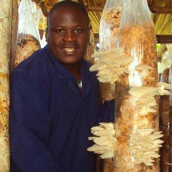 mushroom paul kisiangani