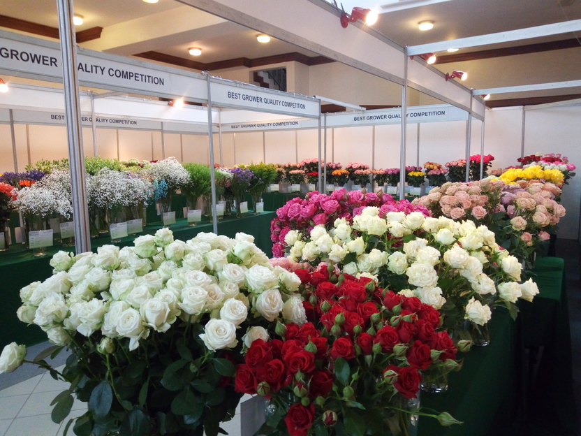 flower expo IFTEX