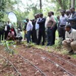 drip irrigation system