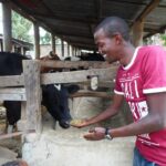 fodder farmpro