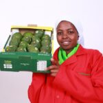 hass avocado selina wamucii