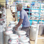 milk delivery