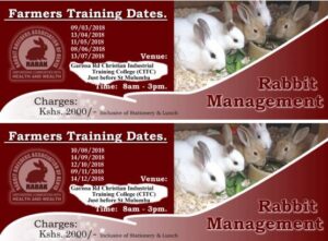 rabbit RABAK