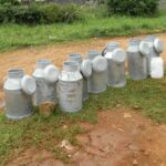 milk cans