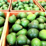 avocado