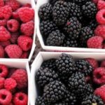 raspberries