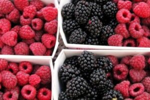 raspberries