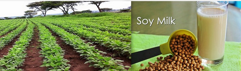 soya farming farmlink kenya