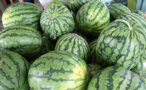 watermelon prices kenya