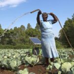 Irrigating a farm using solar powered water pump in Kenya 596