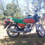 motorbike groundnut