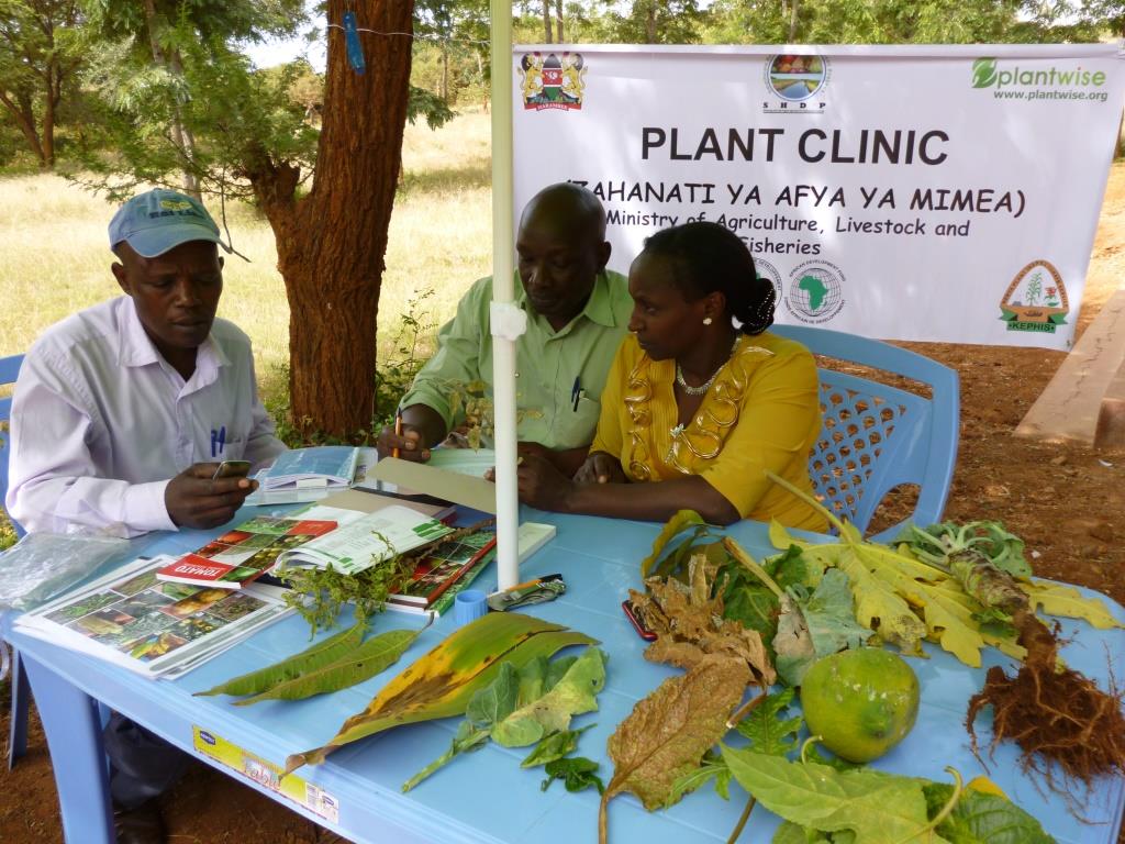 plant clinic mbeere