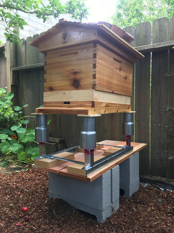 beehive on a stand
