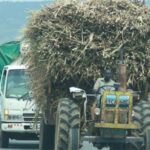 sugarcane tractor