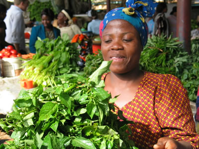 traditional vegetables kenya