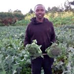 Lawrence Njoroge broccoli farmer