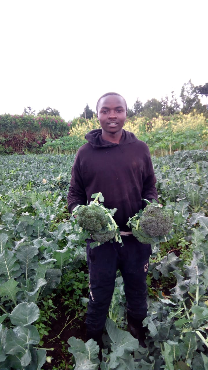 Lawrence Njoroge broccoli farmer