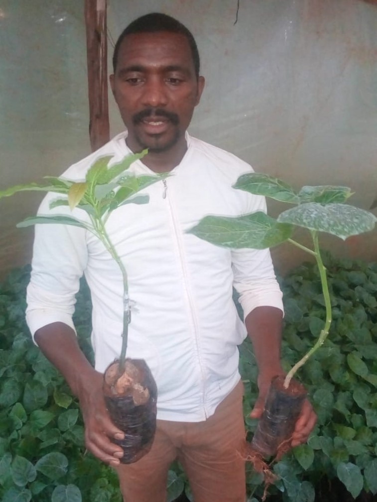 Ndungu holding seedlings