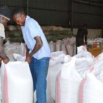 maize packing