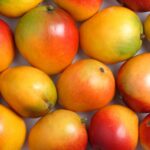 mango k