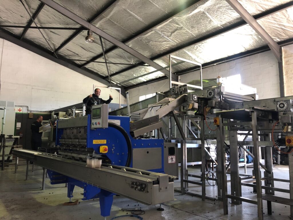 blueberry sizer installed by MED Automation for Gossamer