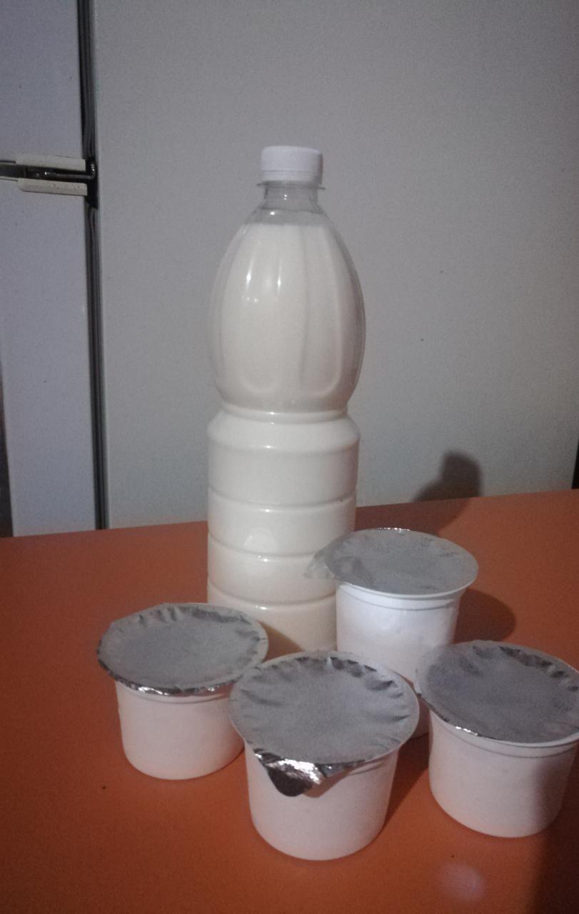 packed dairy goat milk yoghurt