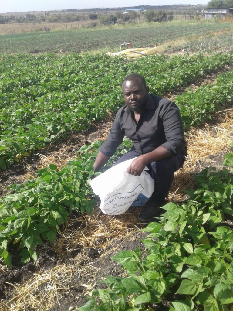 Jeremy Musila French beans farmer