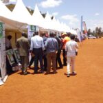 Muranga avocado exhibition and conference
