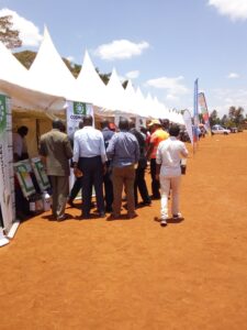 Muranga avocado exhibition and conference