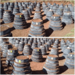 Former electrician invents new multi-storey gardening farming technology using dam liners