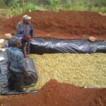 silage making