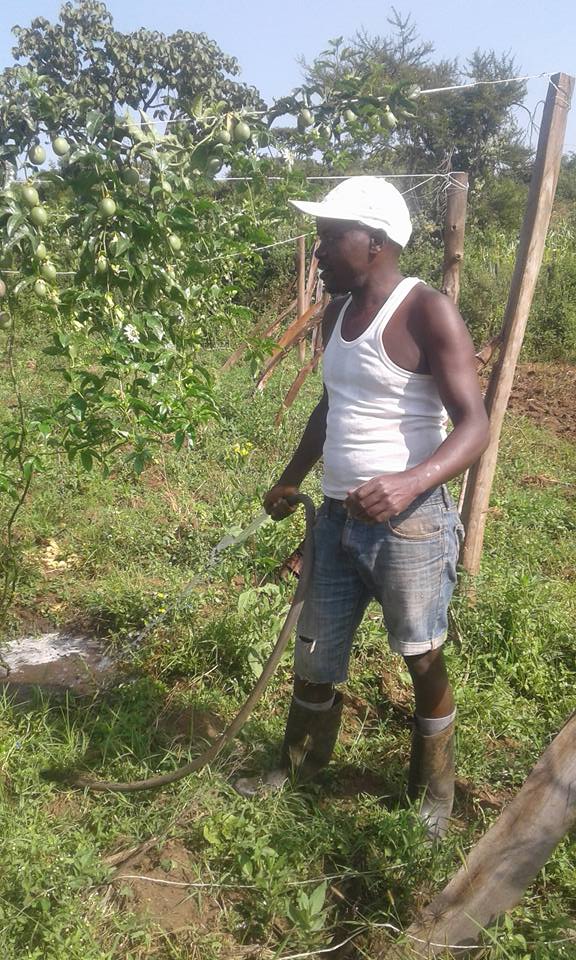 Jushua Kamau watering passion veins