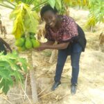 Margaret Mutheu pawpaw and passion farmer