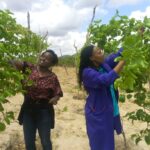 Margaret Mutheu passion farmer
