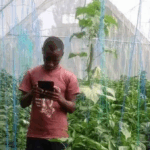 digital farmer