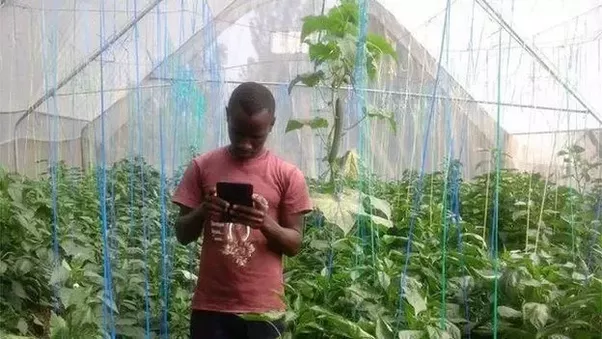digital farmer