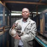 moses mutua of rabbit republic ltd