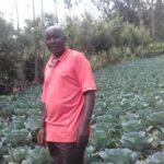 cabbage farmer