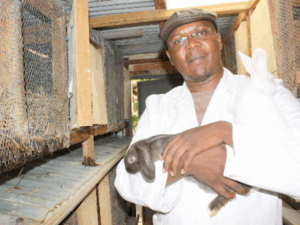 moses Mutua rabbit farmer