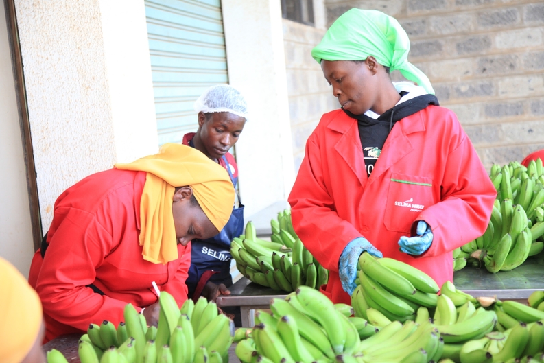 wamucii banana fresh produce john oroko
