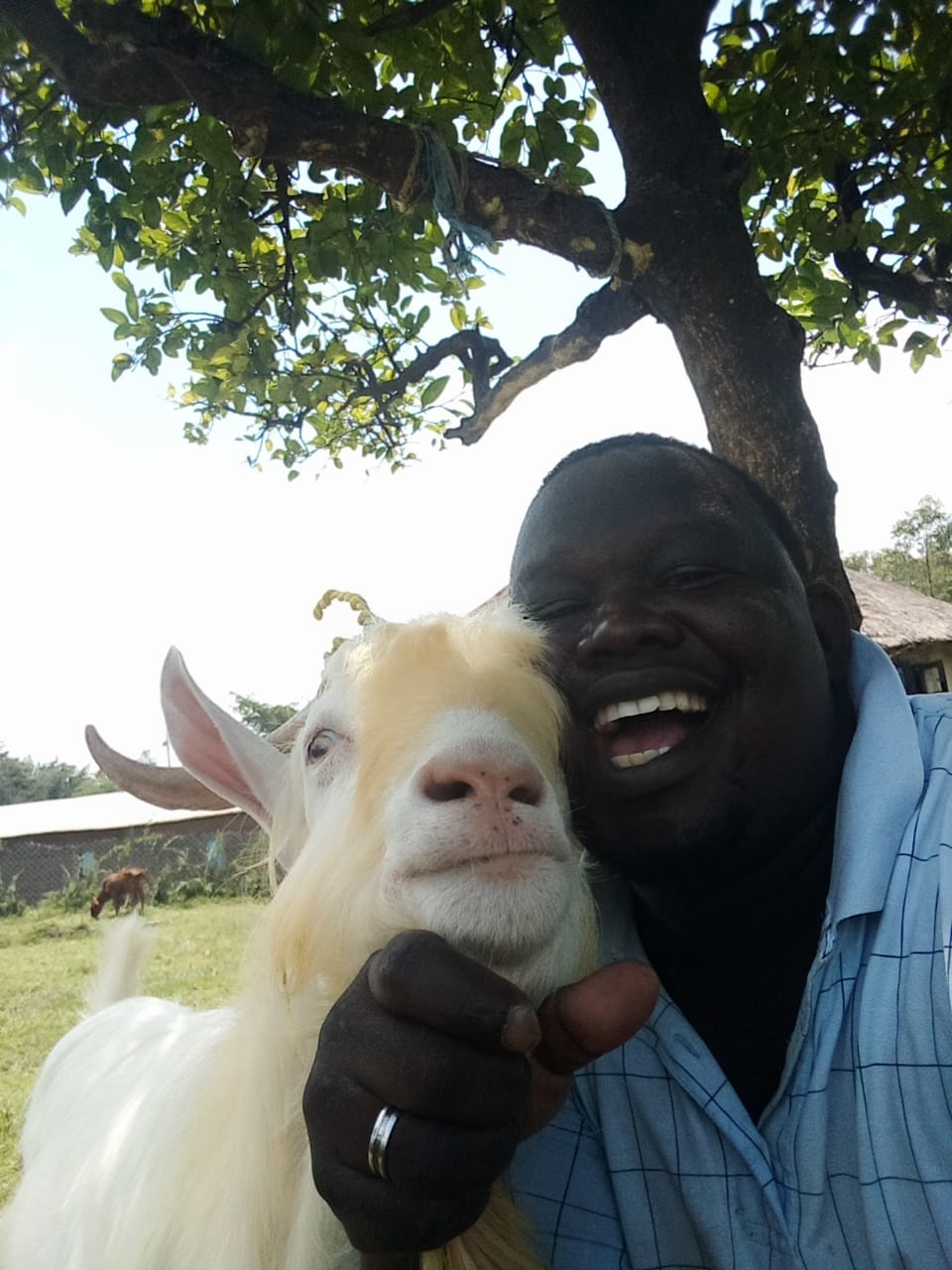 Patrick Odhiambo with Saanen buck goat