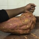 giant sweet potat