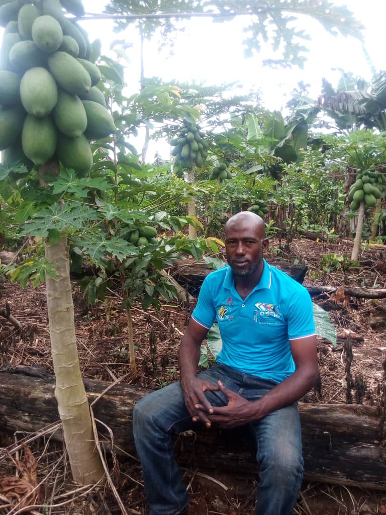 Azeh pawpaw farmer Cameroon