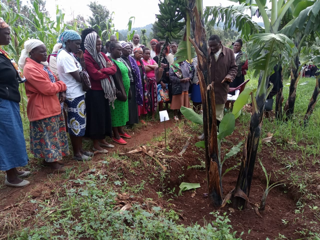Farmers at a past event in Nyamira County