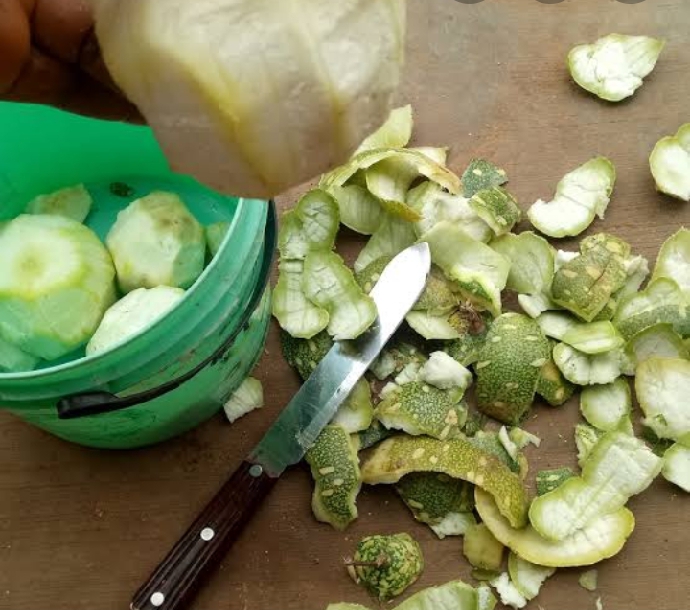TAGIRI CHIRSMASS MELON peels